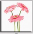 /album/photo-gallery-canvas-uri/decoratiuni-de-perete-canvas-lc-0660-jpg/